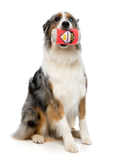 FuzzYard Lager Dog Toy