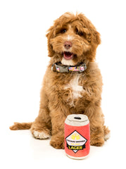 FuzzYard Lager Dog Toy