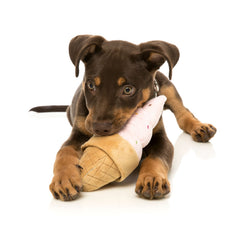 FuzzYard Ice Cream Cone Dog Toy