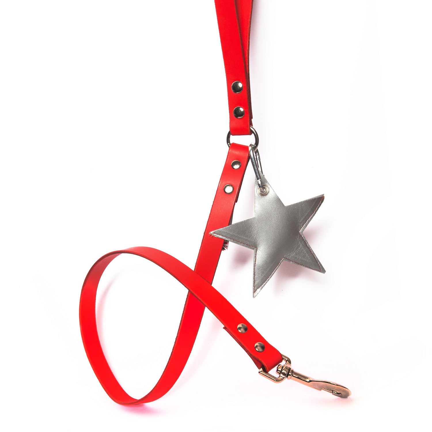 Star Leather Poo Bag Pouch on Lead