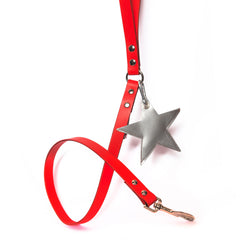 Star Leather Poo Bag Pouch on Lead