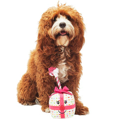 Present Tug Dog Toy