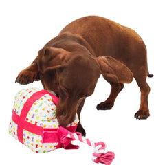 Present Tug Dog Toy