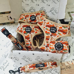 Pumpkin Patch Cart Dog Collar