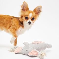 Puppy's First Elephant Toy