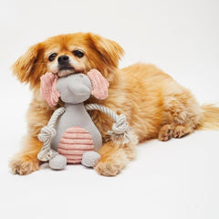 Puppy's First Elephant Toy