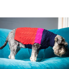 Red & Pink Colour Block Dog Jumper by Sotnos