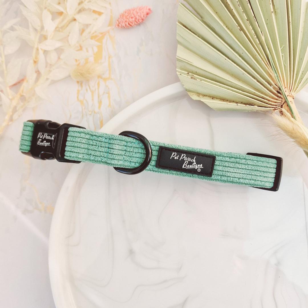 Sage Green Cord Dog Collar