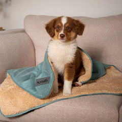 Sage Green Snuggle Pet Blanket