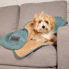 Sage Green Snuggle Pet Blanket