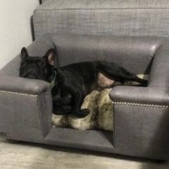 Sandringham Dog Sofa In Steel Faux Leather | Dog Chesterfields