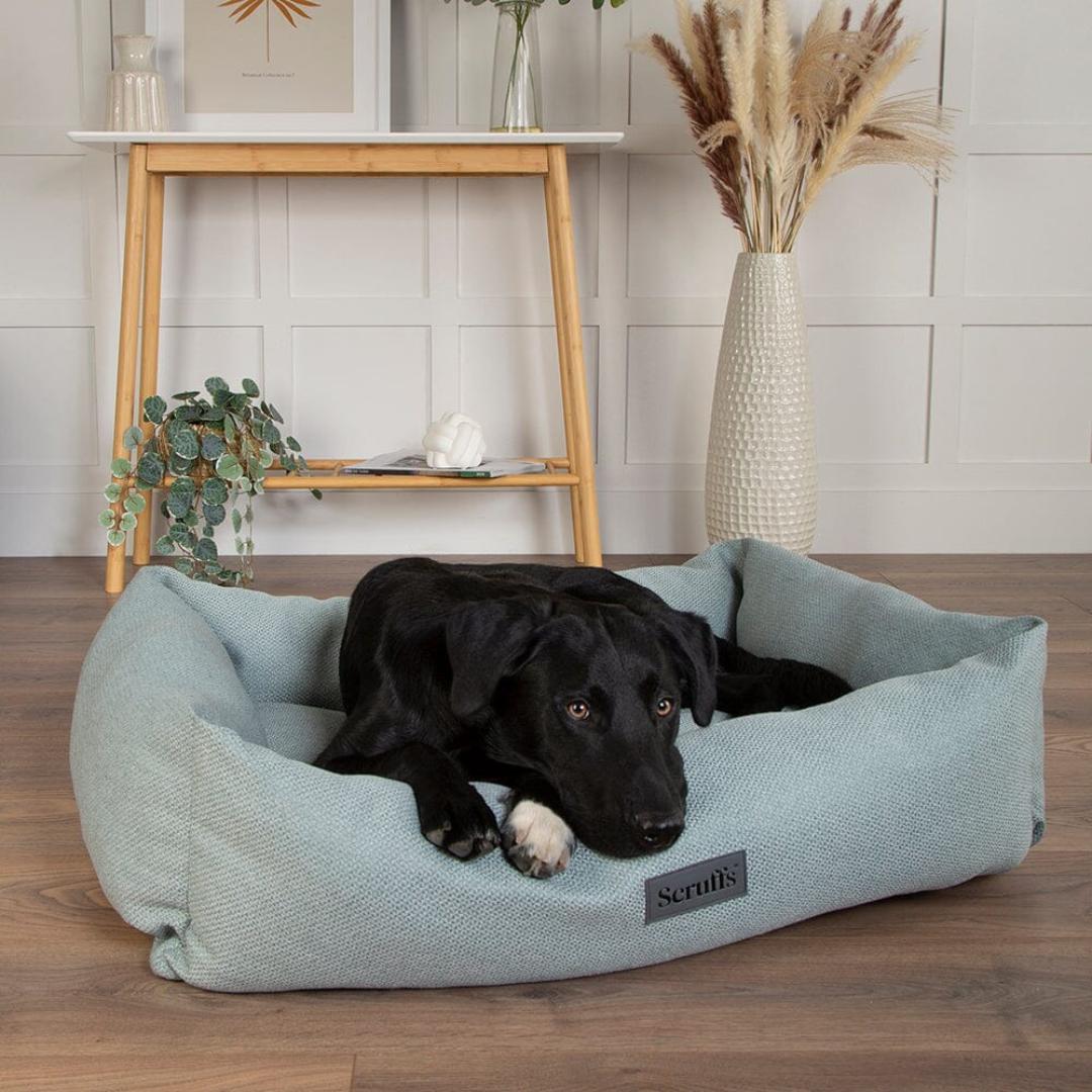 Seattle Box Dog Bed - Topaz Green | Scruffs