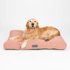 Seattle Mattress Dog Bed - Coral Pink | Scruffs