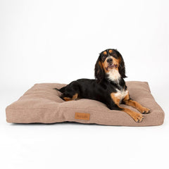 Seattle Mattress Dog Bed - Sienna Brown | Scruffs