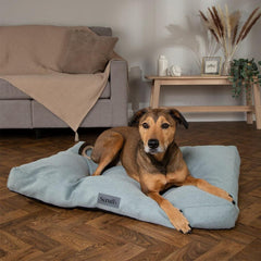 Seattle Mattress Dog Bed - Topaz Green | Scruffs 2