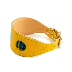 Hiro And Wolf Shuka Blue Hound Collar