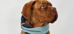 Simo Turquoise & Iron Double Dog Scarf by Labbvenn