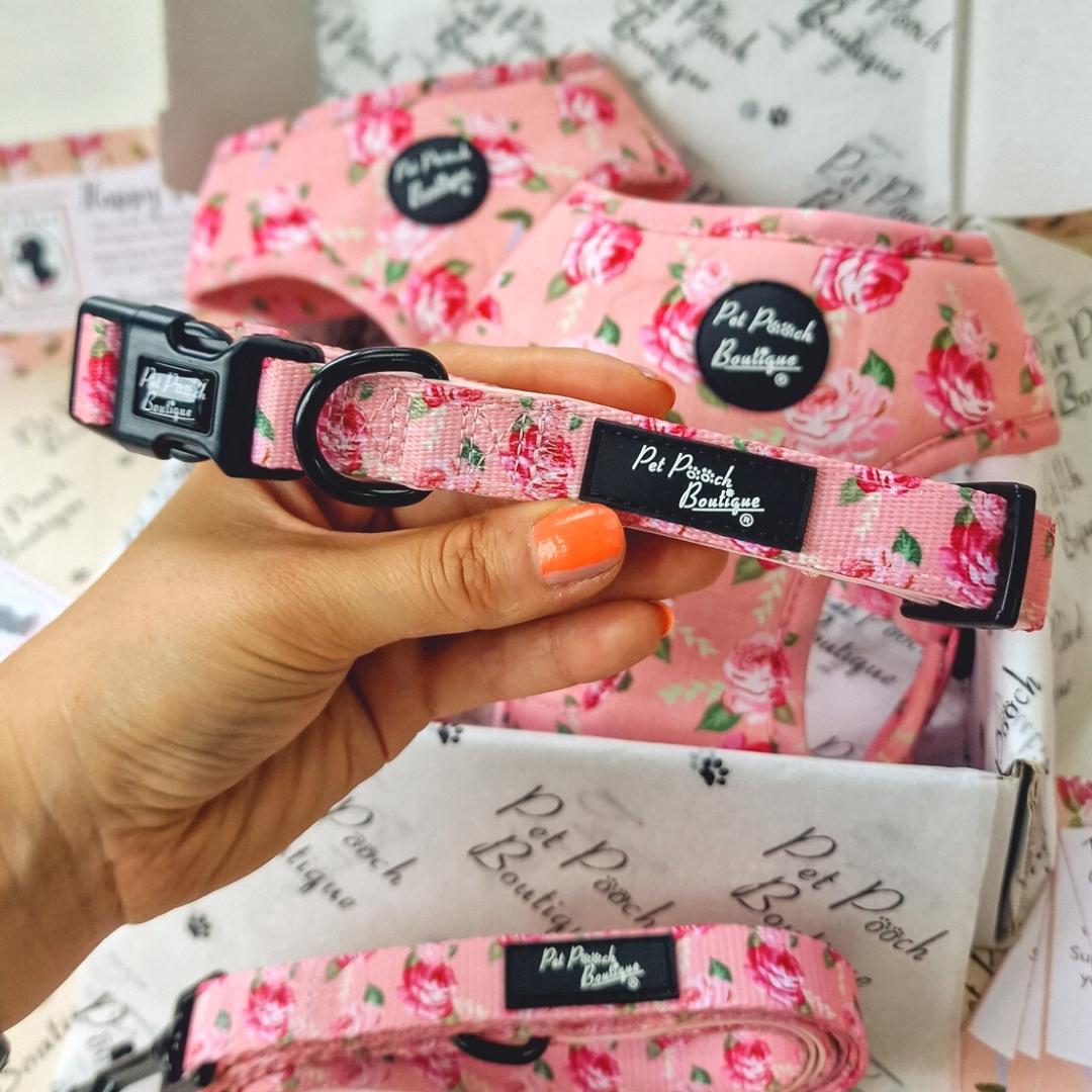 Sunday Rose Dog Collar | Pet Pooch Boutique