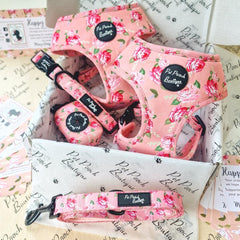 Sunday Rose Dog Set | Pet Pooch Boutique