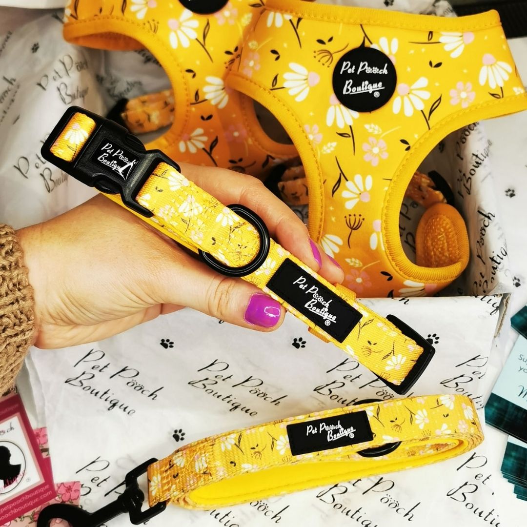 Sunshine Daisy Dog Collar | Pet Pooch Boutique