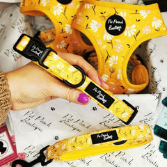 Sunshine Daisy Dog Collar | Pet Pooch Boutique