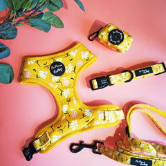 Sunshine Daisy Poo Bag Holder | Pet Pooch Boutique