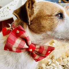 Sweetheart Bow Tie Designer Dog Collar
