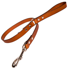 Tan Leather Dog Leads