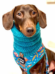 Teal Classic Snood For Dogs | Pet Pooch Boutique