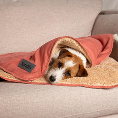 Terracotta Snuggle Pet Blanket | Scruffs