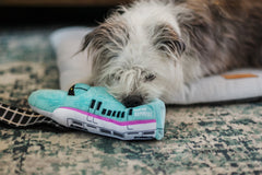 P.L.A.Y Canine Commute Express Train Dog Toy