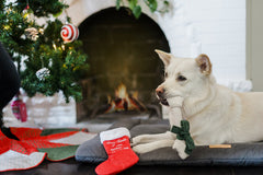 P.L.A.Y Merry Woofmas Good Dog Stocking Christmas Dog Toy
