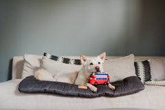 P.L.A.Y Canine Commute London Bus Dog Toy