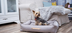 Tove Nut Dog Bed by Labbvenn