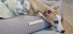 Tove Nut Dog Bed by Labbvenn