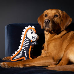 Tough Skeleton Dinosaur Halloween Dog Toy