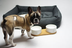 Tove Anthracite Dog Bed by Labbvenn