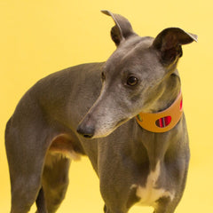 Inca Pink Hound Collar by Hiro and Wolf