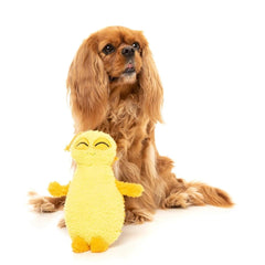 FuzzYard Belly The Bed Bug Dog Toy