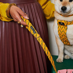 Fireworks Vegan Dog Lead by Hiro and Wolf