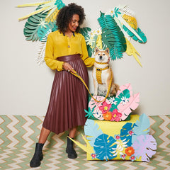 Fireworks Vegan Dog Lead by Hiro and Wolf