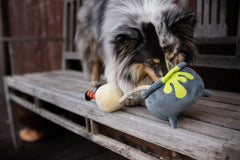 P.L.A.Y Howling Haunts Pups Potion Halloween Dog Toy