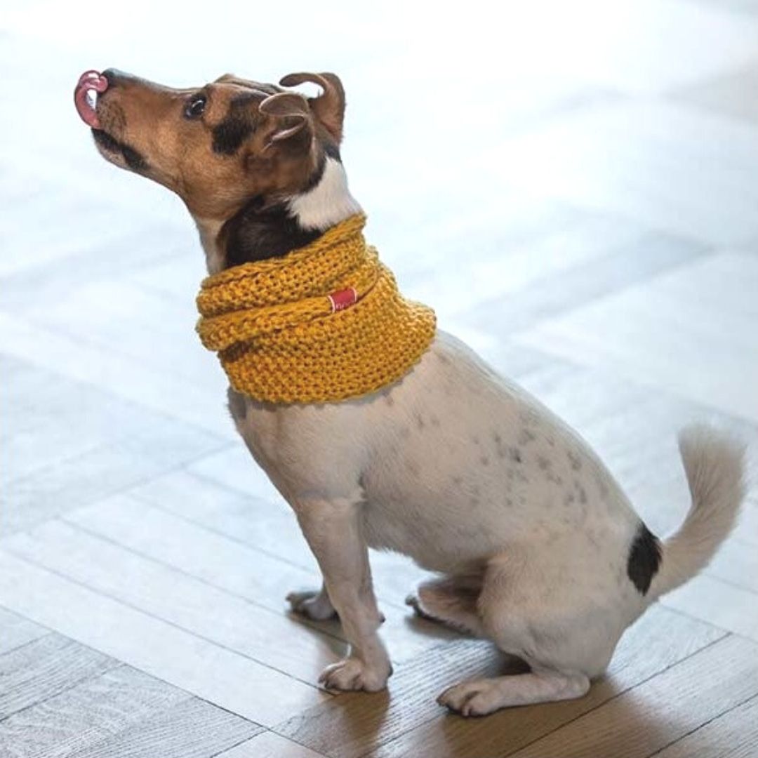 Wooldog Necky Sunflower Yellow Dog Neck Cowl