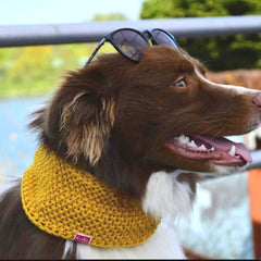 Wooldog Necky Sunflower Yellow Dog Neck Cowl