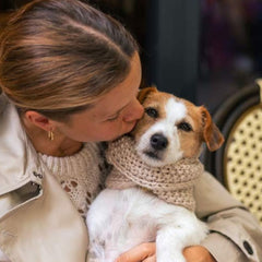 Wooldog Supreme 100% Merino Wool Dog Neck Cowl in Beige