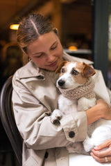 Wooldog Supreme 100% Merino Wool Dog Neck Cowl in Beige