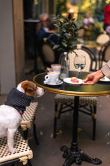 Wooldog Supreme 100% Merino Wool Dog Neck Cowl in Deep Steel Grey