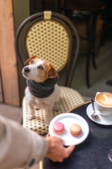 Wooldog Supreme 100% Merino Wool Dog Neck Cowl in Deep Steel Grey