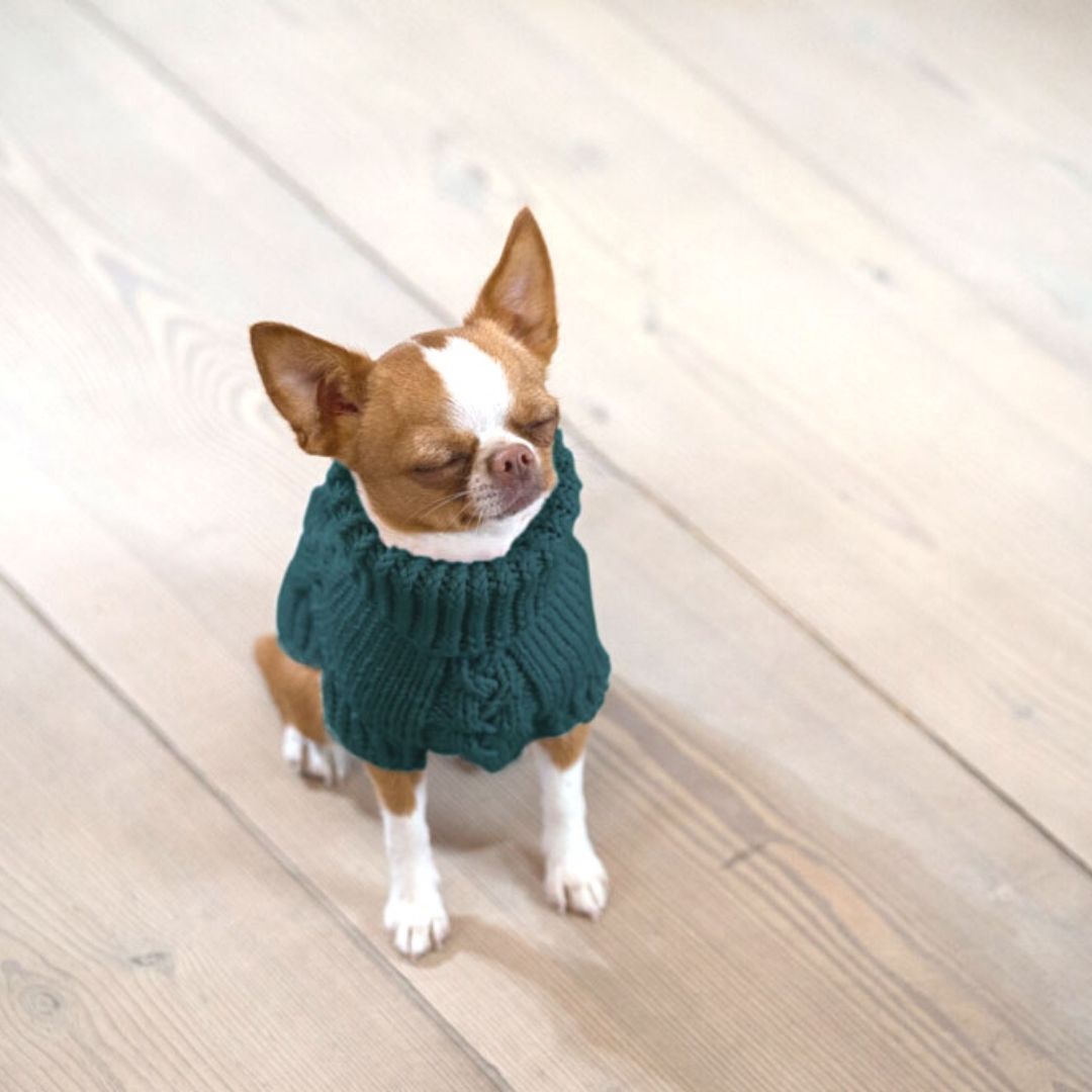 Wooldog Supreme 100% Merino Wool Royal Emerald Hand-Knitted Dog Jumper