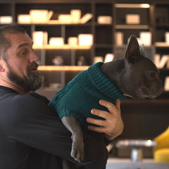 Wooldog Supreme 100% Merino Wool Royal Emerald Hand-Knitted Dog Jumper